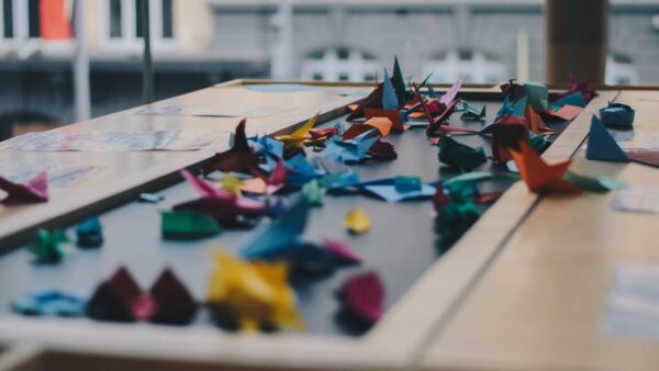 USO 019 | Adversity Breeds Innovation