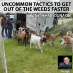 Uncommon Tactics To Get Out Of The Weeds Faster with Tammy Dunakin